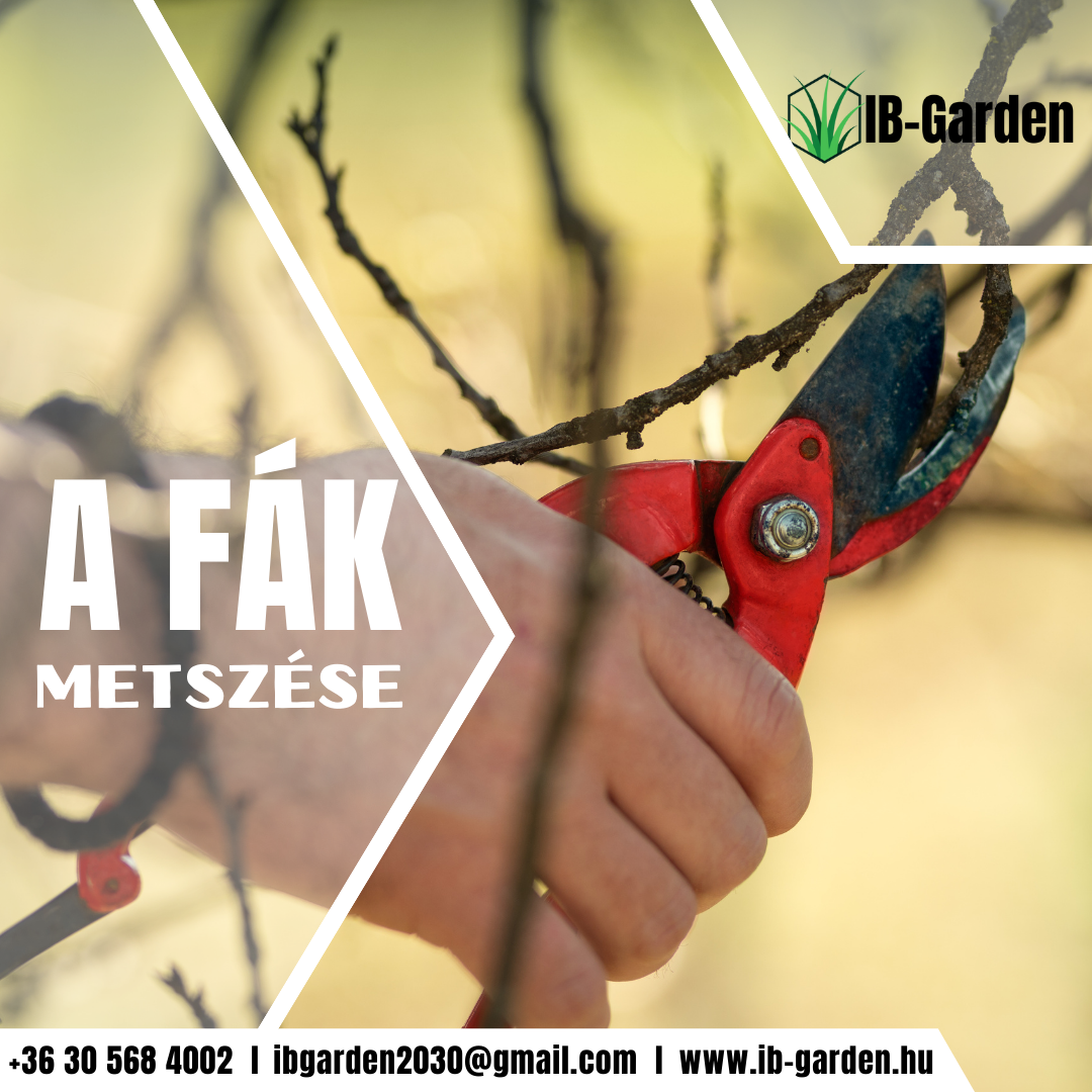 A Fák Metszése: Szakmai Útmutató a Megfelelő Gondozáshoz